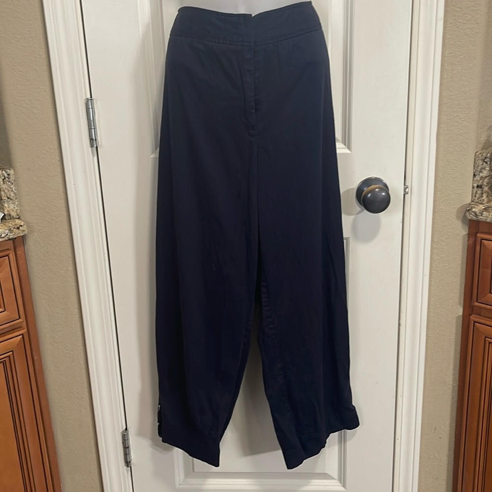 Navy ankle pants size 18